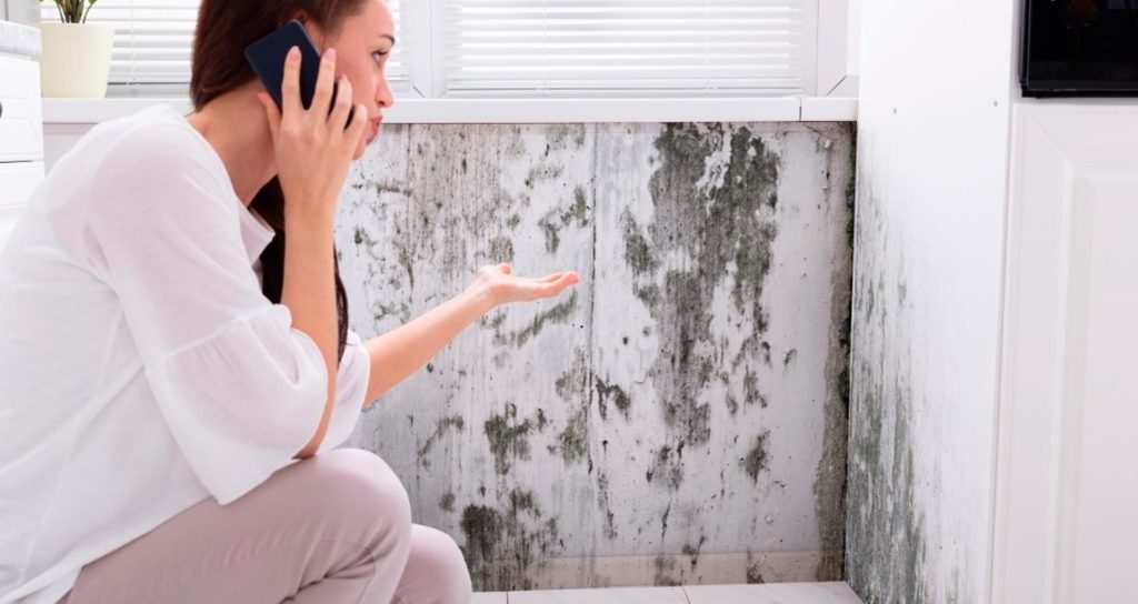 Грибок на стене и влияние на здоровье – каковы последствия плесени в доме?